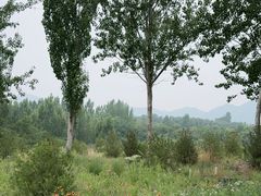 -西部长青自然儿童乐园