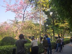 -晓港公园