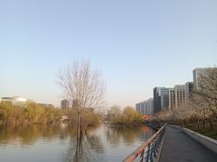 -灞河西岸滨河公园
