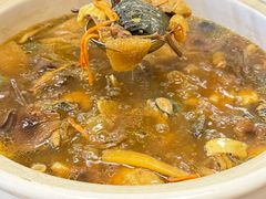 -土连锅·现熬养生汤锅(梁家巷店)