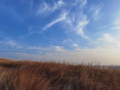 -恋山坝上草原