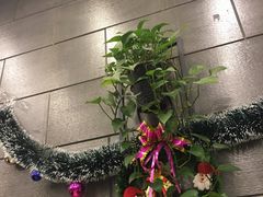 -愉肴麻辣香锅(中山路店)