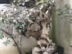 -光裕书厅·评弹茶馆·剧场(观前街店)