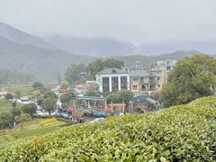 -听风阁农家私房菜茶楼(龙坞店)