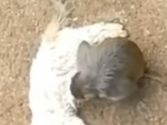 -昆明动物园