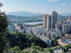 -福道