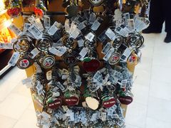 -约翰·菲茨杰拉德·肯尼迪国际机场