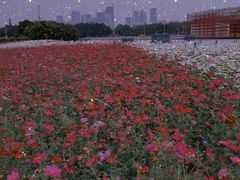 -海心沙亚运公园