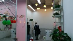 -YDO SALON