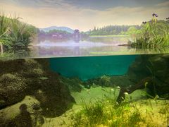-江和美海洋公园