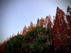 -南京金牛湖风景区