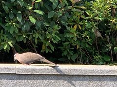 -兰溪青年公园