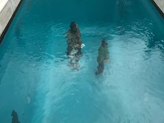 -金泽21世纪美术馆