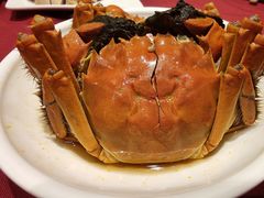 -老吉士酒家(天平路店)