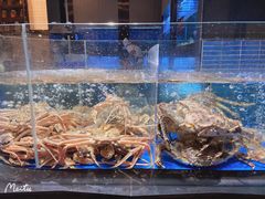 水产区-徐记海鲜·宴会(大唐西市|丰庆店)