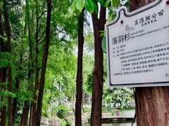 -荔湾湖公园