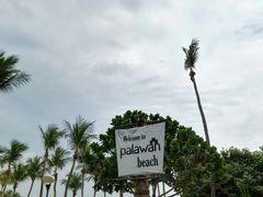 -巴拉湾海滩