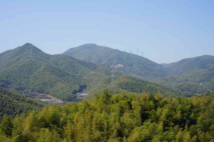 寧波浙東大竹海景區