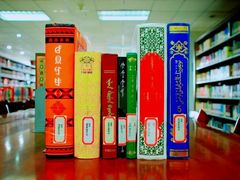 -中央民族大学