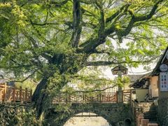 -云水谣景区