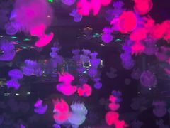 -重庆欢乐海底世界