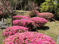 -天龙八部武侠城