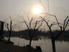 iphone_upload_pic-上海怡沁园度假酒店