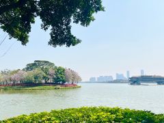 -顺峰山公园