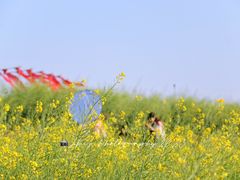 -光明小镇欢乐田园