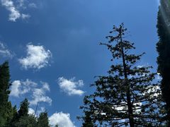 -武陵山森林公园