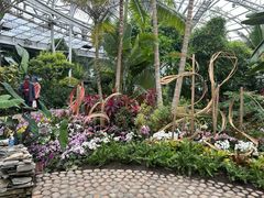 -北京植物园-展览温室