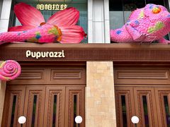 -帕帕拉兹宠物(亚洲旗舰店)