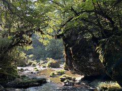 -龙苍沟森林公园