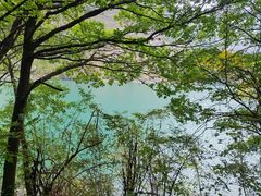 -叠溪松坪沟景区