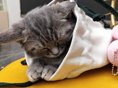 -太原东方动物医院(小店分院)