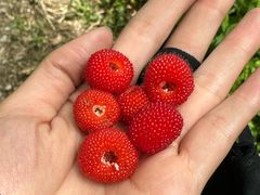 -南京市无想山景区