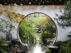 -上海醉白池公园