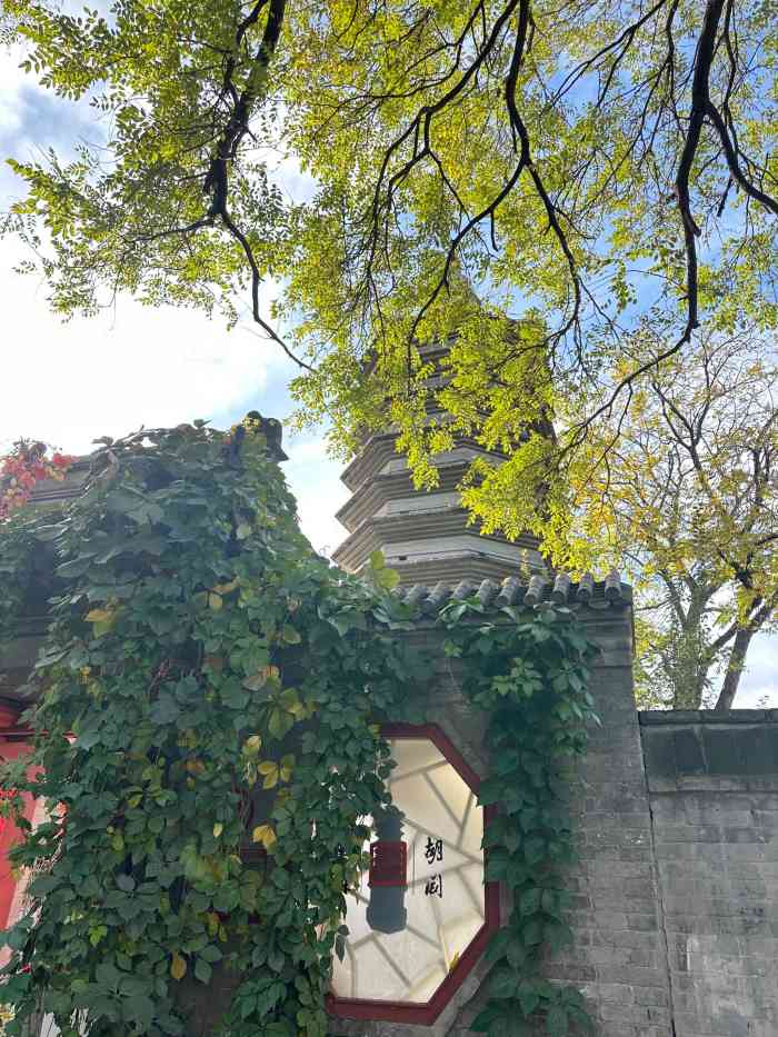 正阳书局(西四南大街店)-"以前经常路过见到古塔,这次还是第一次进来.