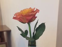 -Mark&Mars Restaurant