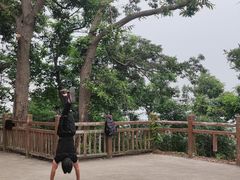 -紫金山山顶公园