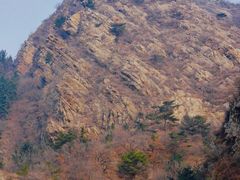 -金龙寺国家森林公园