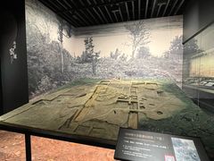 -四川大学博物馆