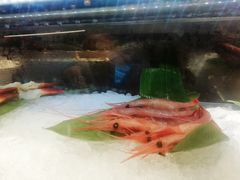 -OPEN開全日自助餐厅·牛肉火锅·海鲜(佛山希尔顿酒店)