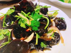 -房陵农家(东亭店)