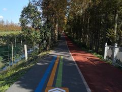 -上海长兴岛郊野公园