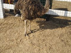 -遇见世外桃源教育农场