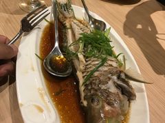 -Isla Sugbu Seafood City