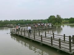 -大湾区中央湿地公园