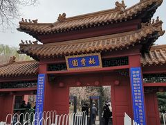 -桃花堤公园