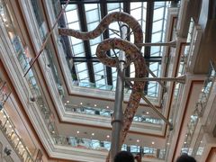 -巴黎春天(浦建店)